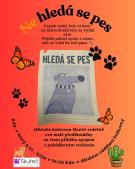 Ne/hledá se pes